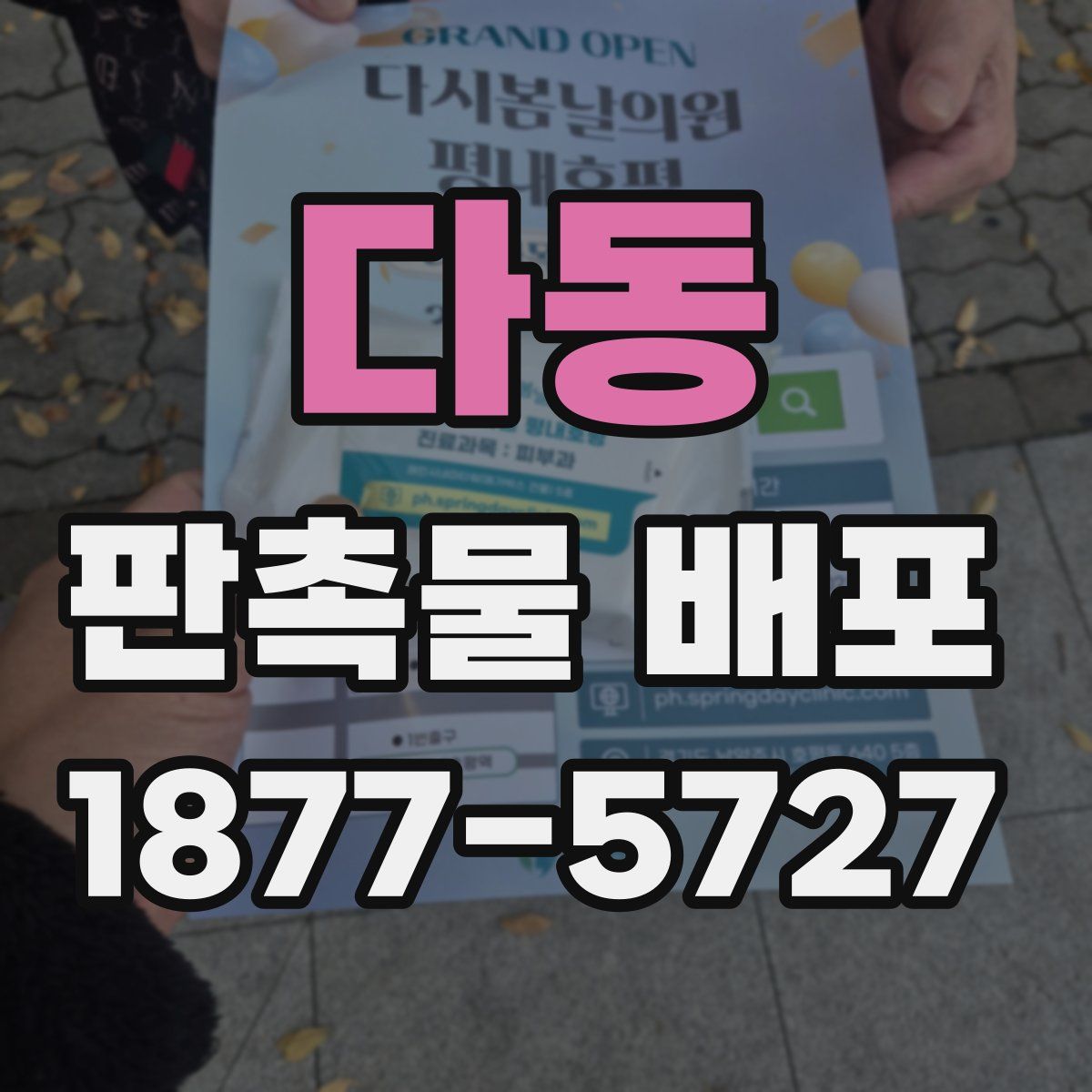 다동 판촉물 배포