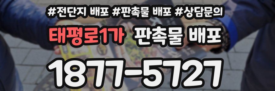 태평로1가 판촉물 배포