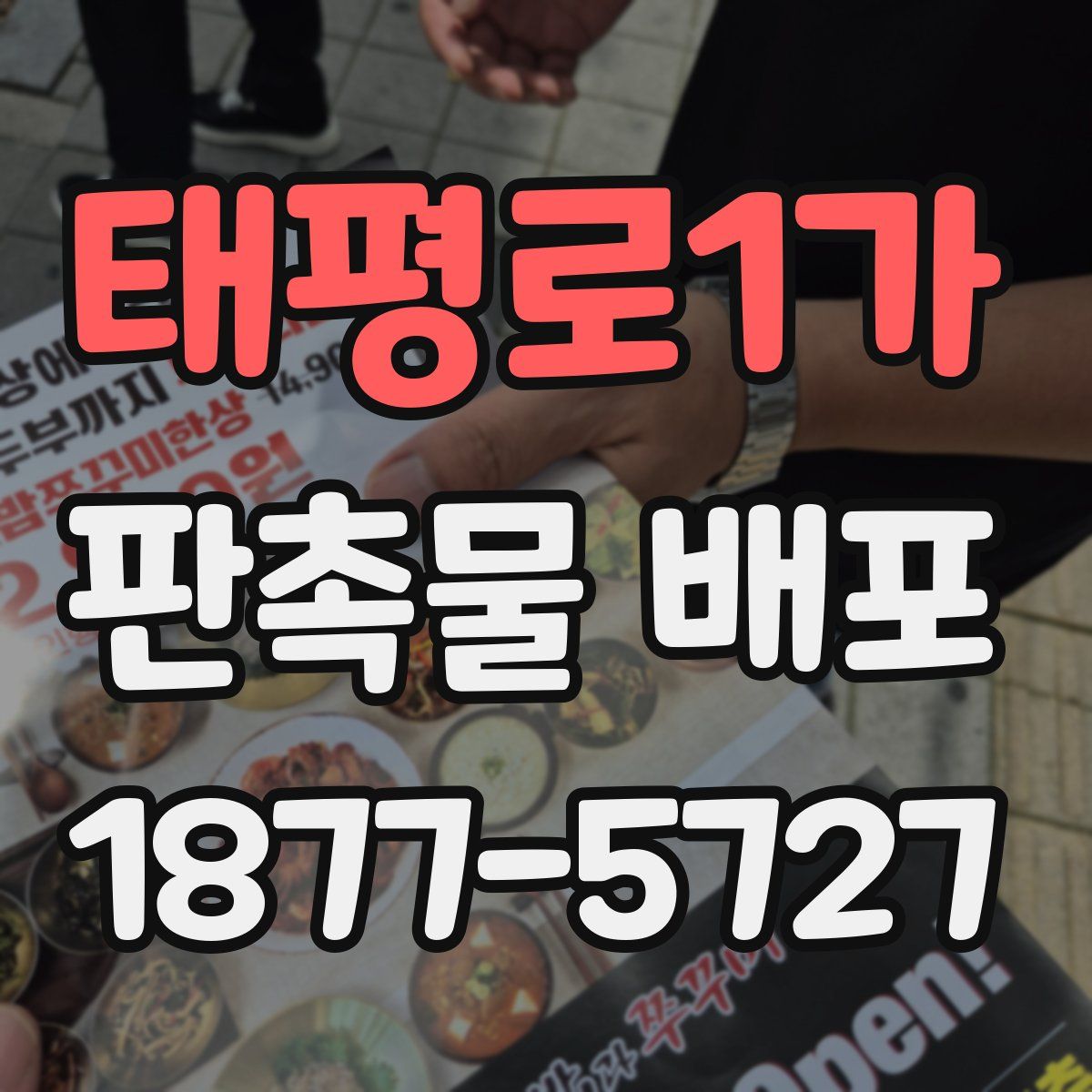 태평로1가 판촉물 배포