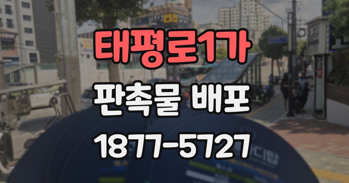 태평로1가 판촉물 배포