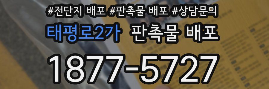 태평로2가 판촉물 배포