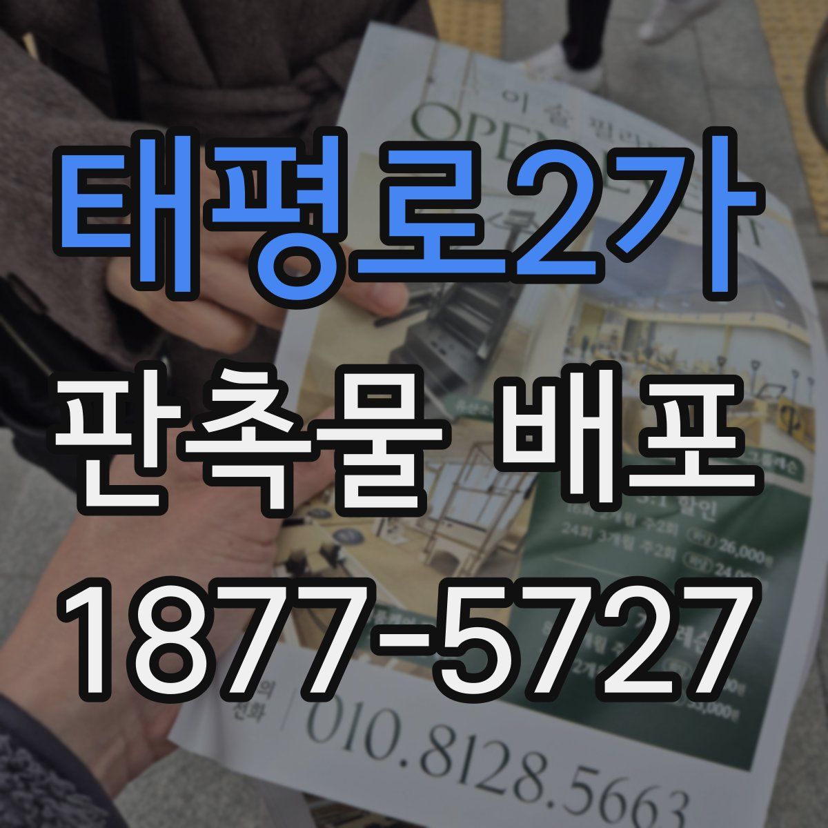 태평로2가 판촉물 배포