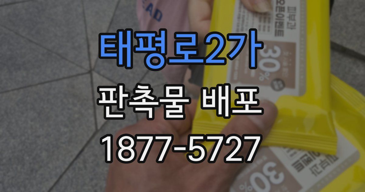 태평로2가 판촉물 배포