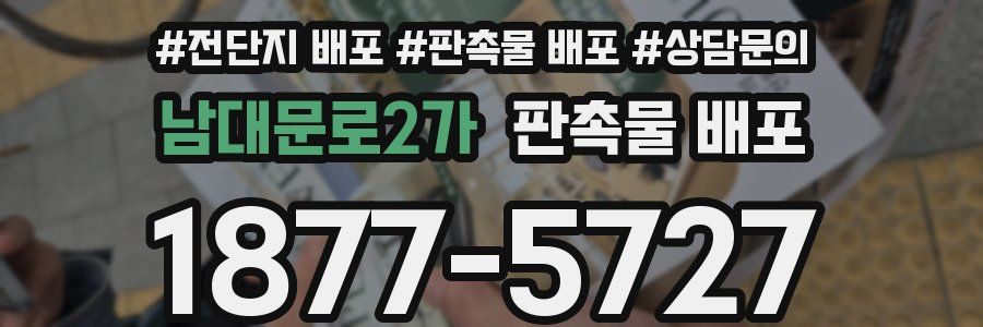 남대문로2가 판촉물 배포