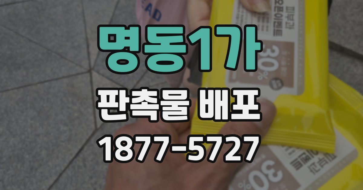 명동1가 판촉물 배포