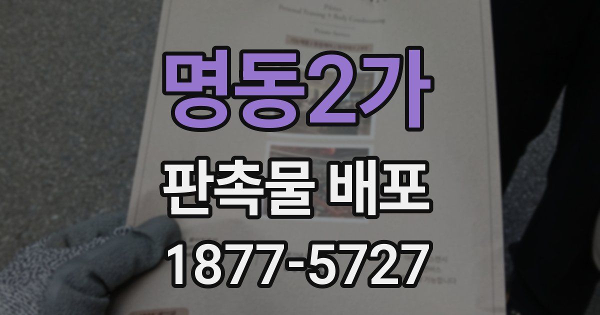 명동2가 판촉물 배포