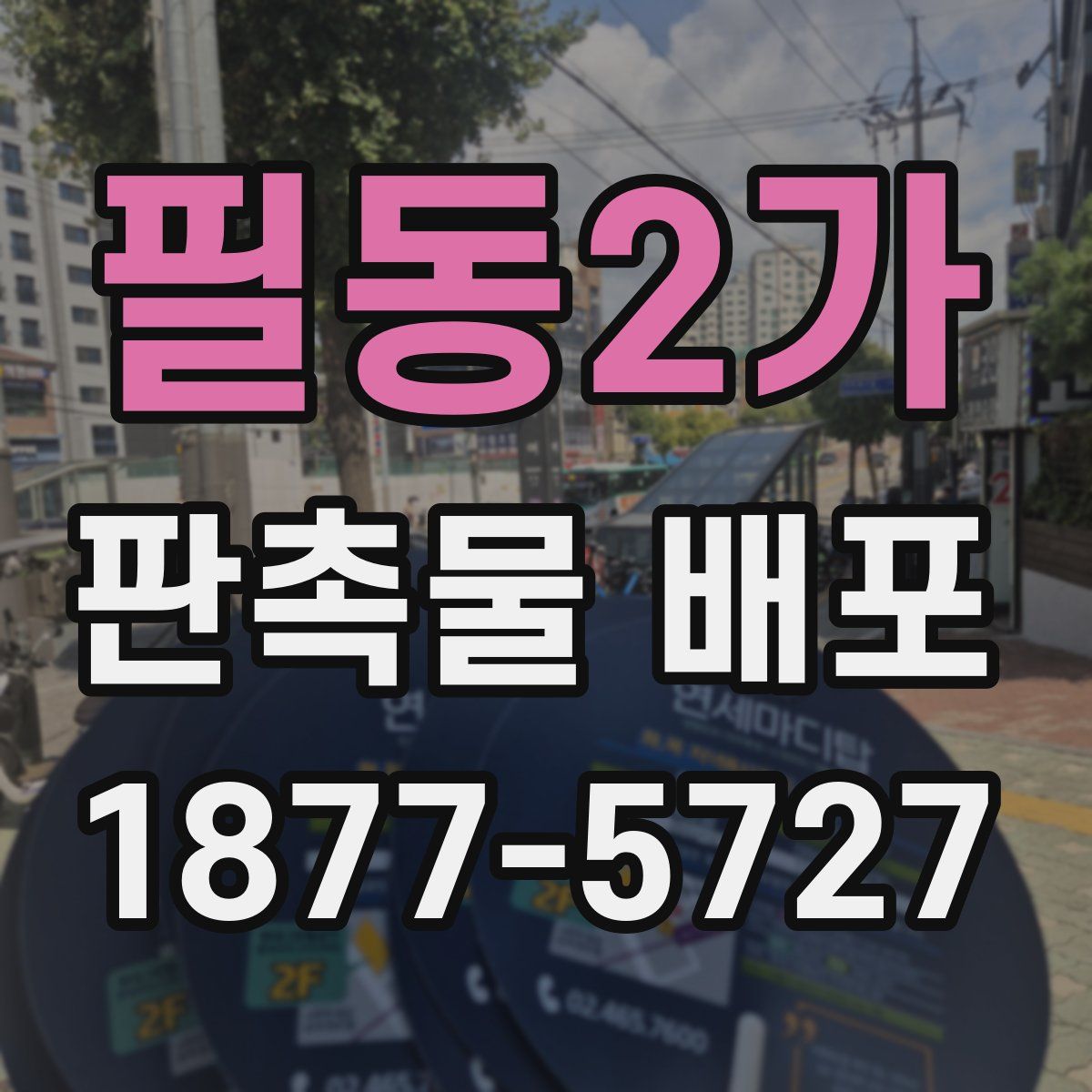 필동2가 판촉물 배포