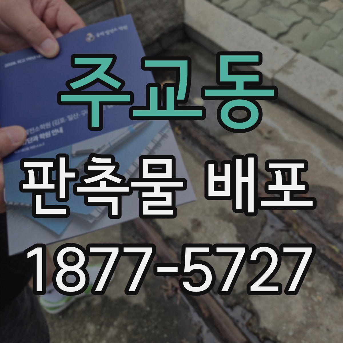 주교동 판촉물 배포