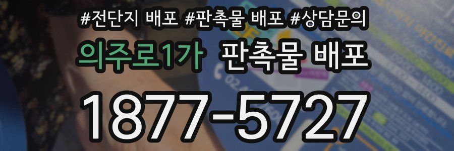 의주로1가 판촉물 배포