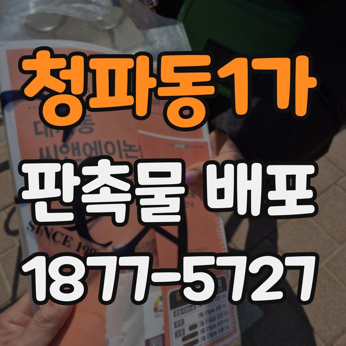 청파동1가 판촉물 배포