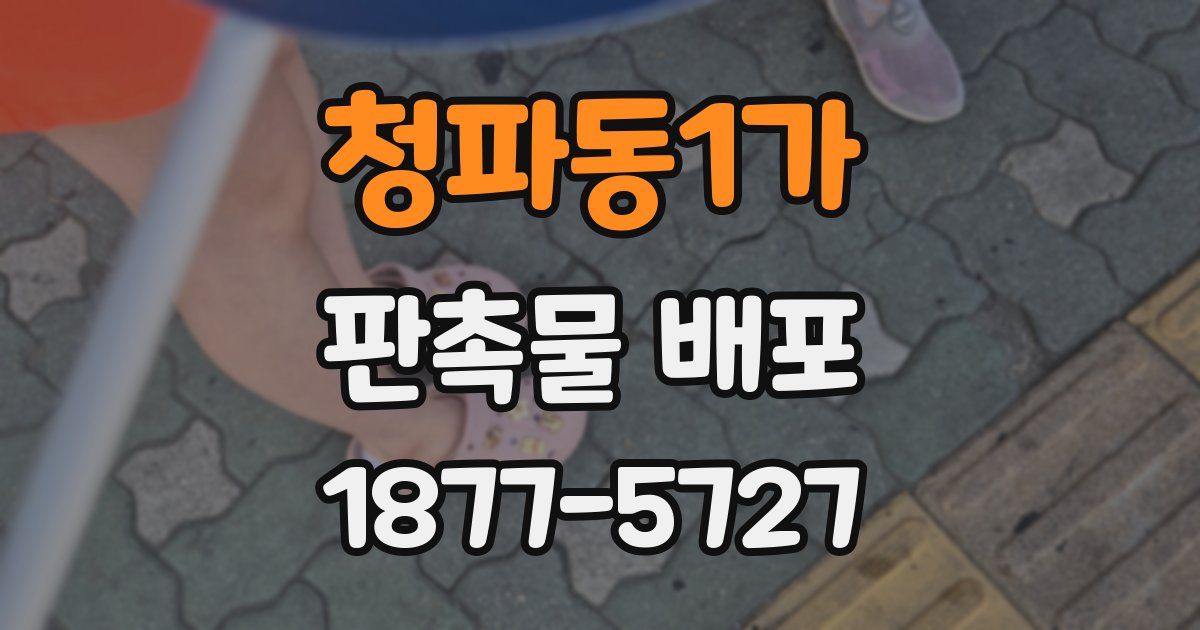 청파동1가 판촉물 배포