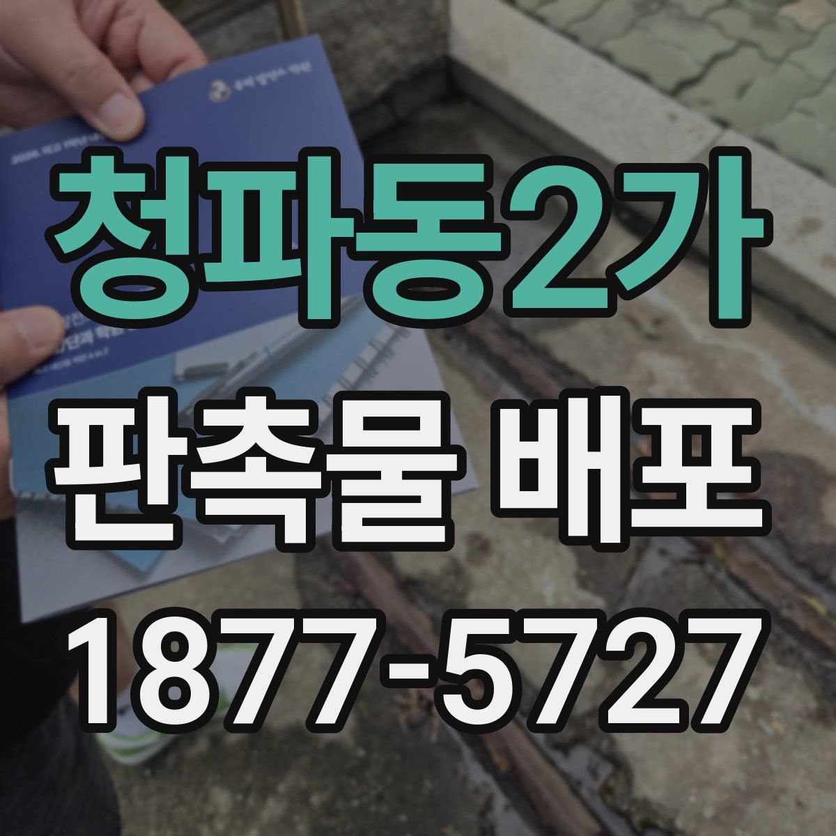 청파동2가 판촉물 배포