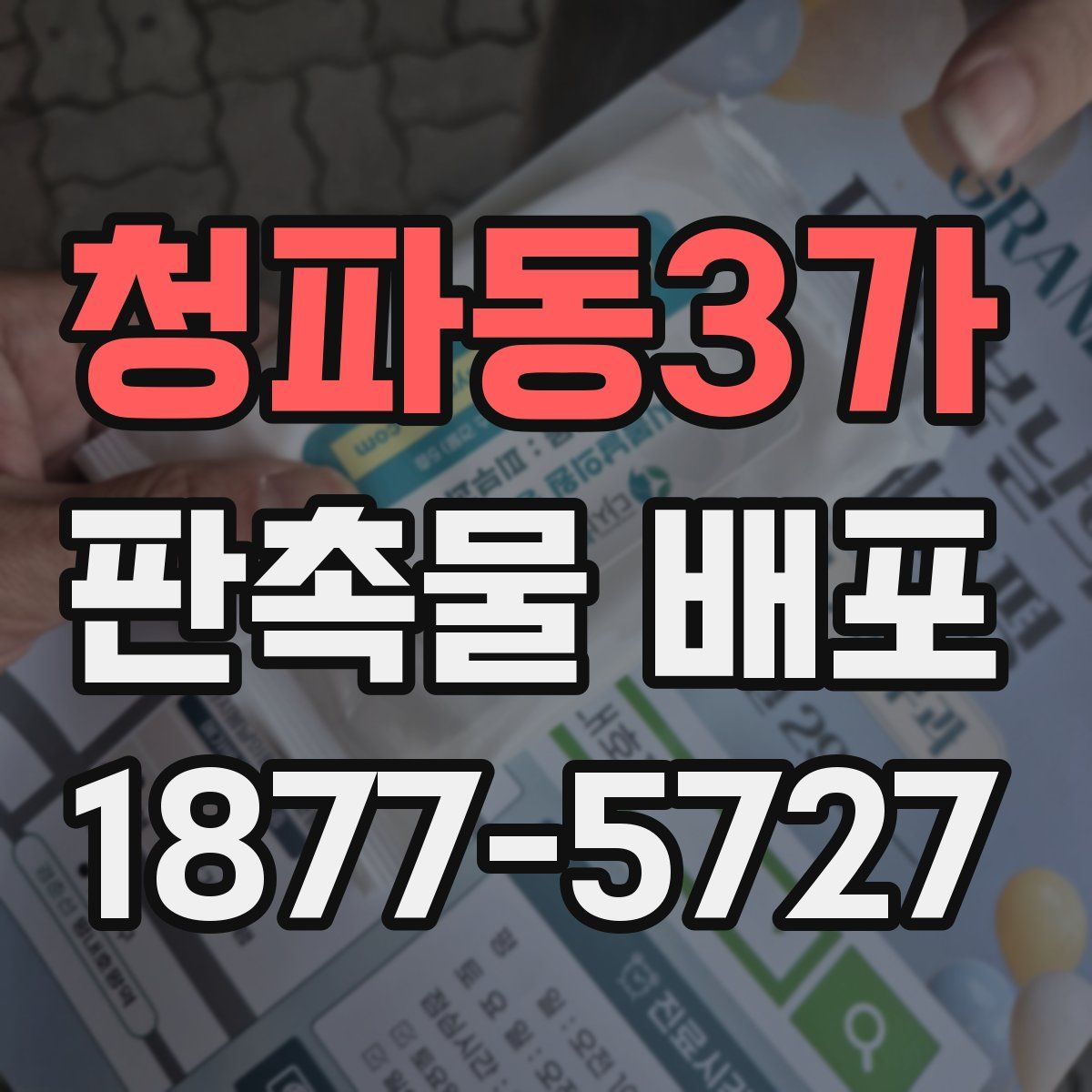 청파동3가 판촉물 배포