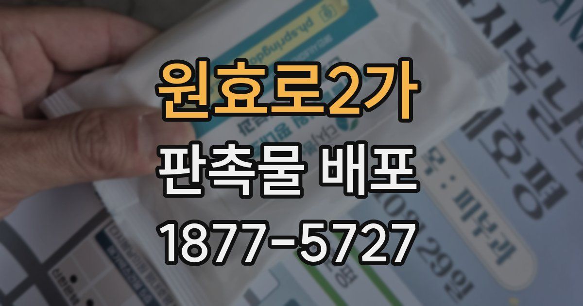 원효로2가 판촉물 배포
