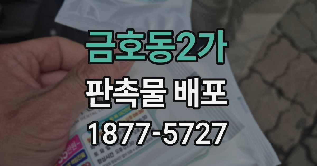 금호동2가 판촉물 배포