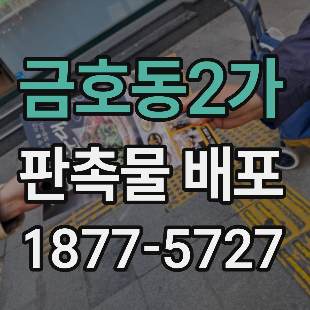 금호동2가 판촉물 배포