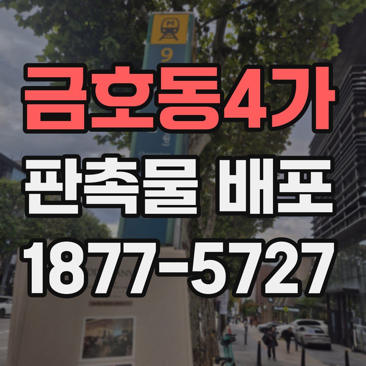 금호동4가 판촉물 배포