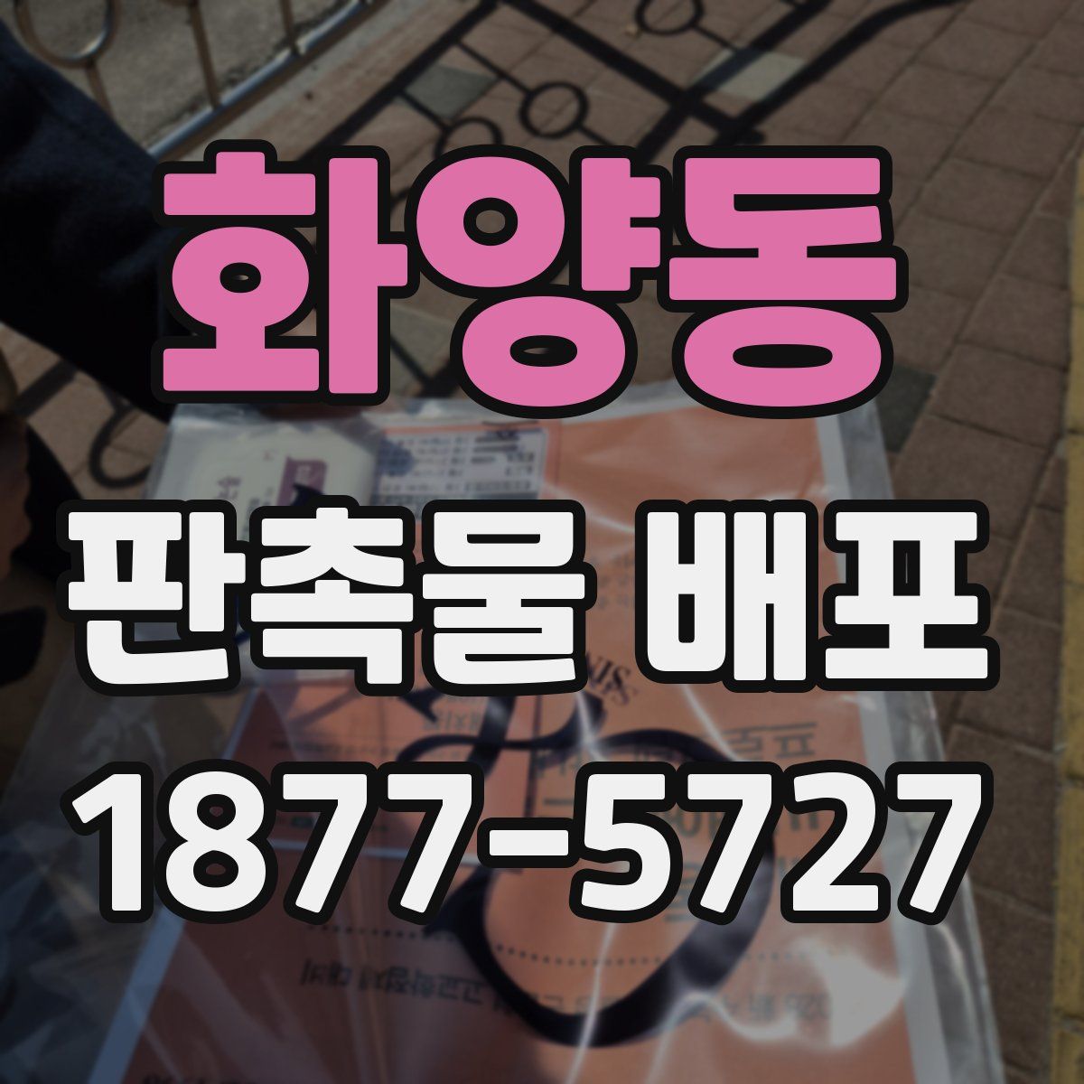 화양동 판촉물 배포