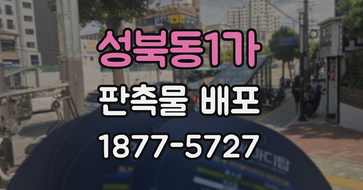 성북동1가 판촉물 배포