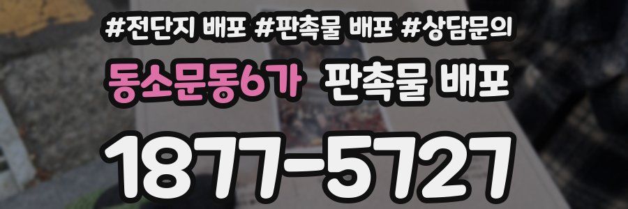 동소문동6가 판촉물 배포