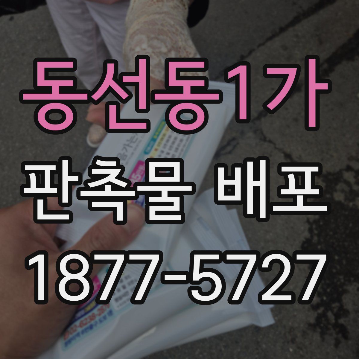 동선동1가 판촉물 배포