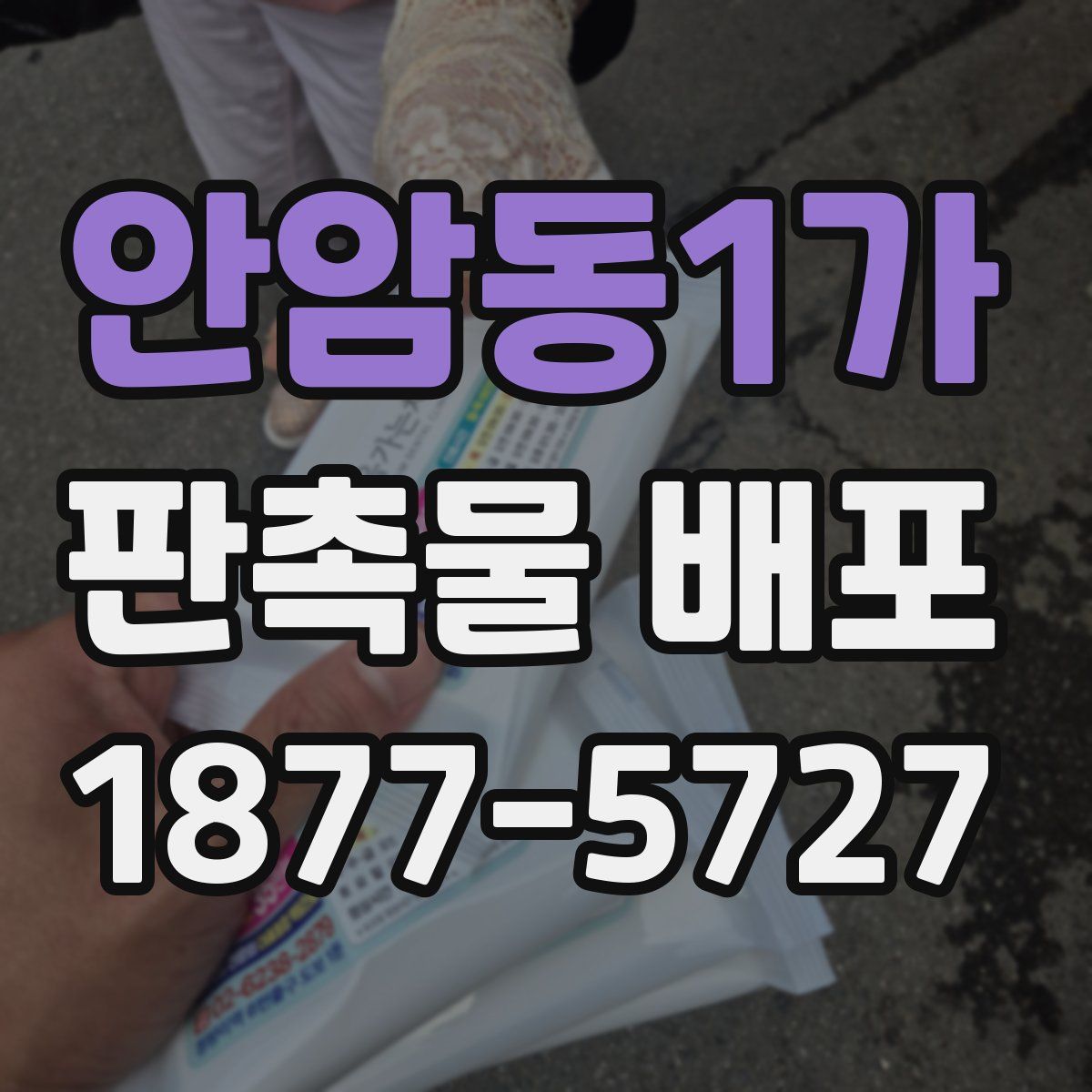 안암동1가 판촉물 배포