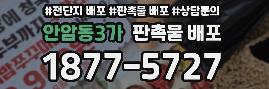 안암동3가 판촉물 배포
