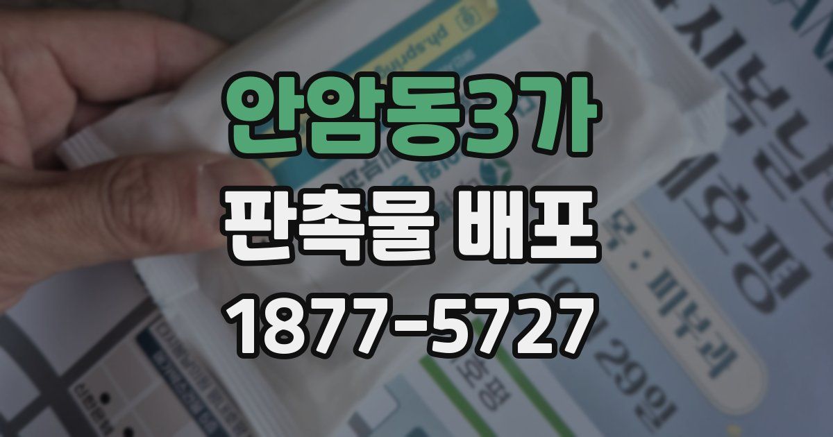 안암동3가 판촉물 배포