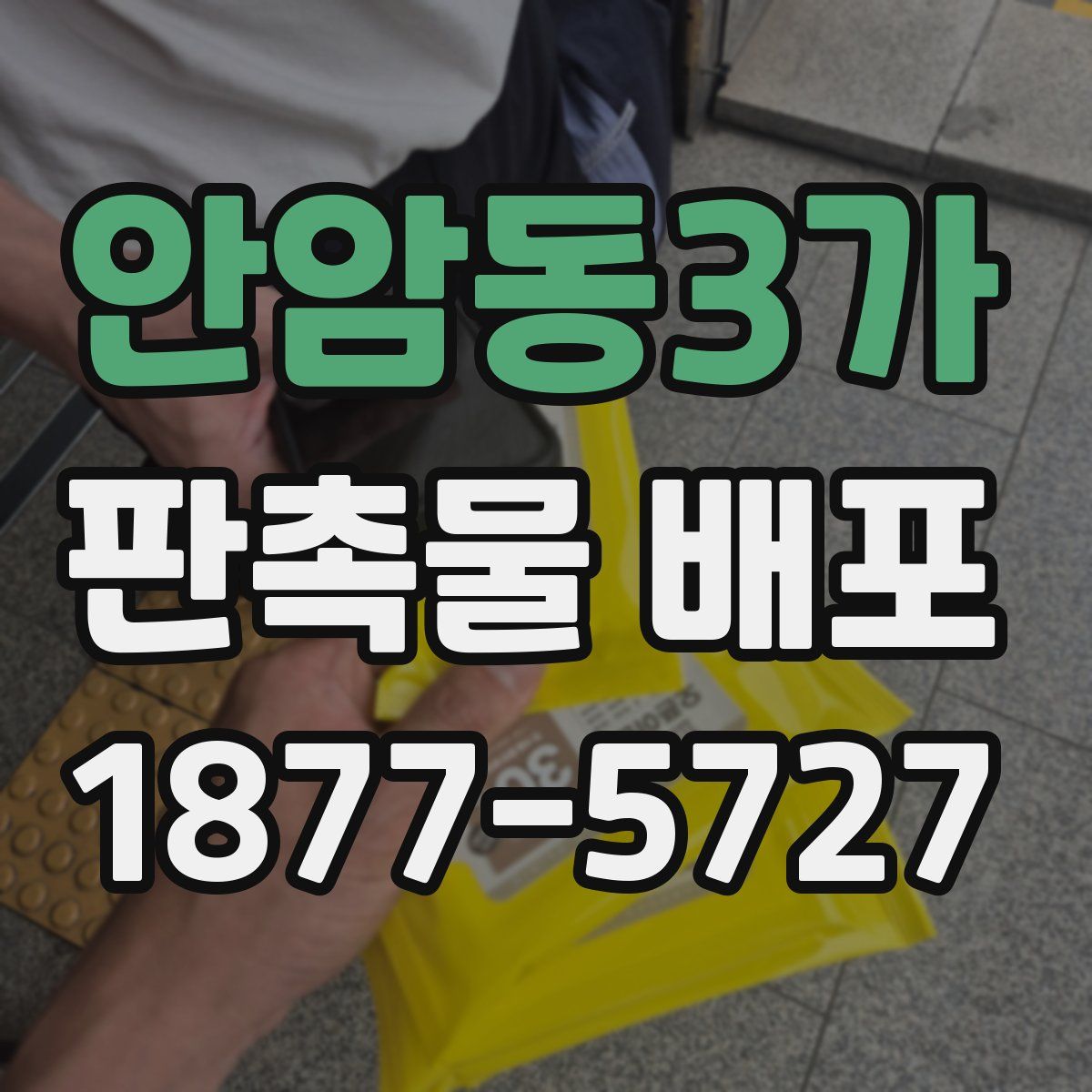안암동3가 판촉물 배포
