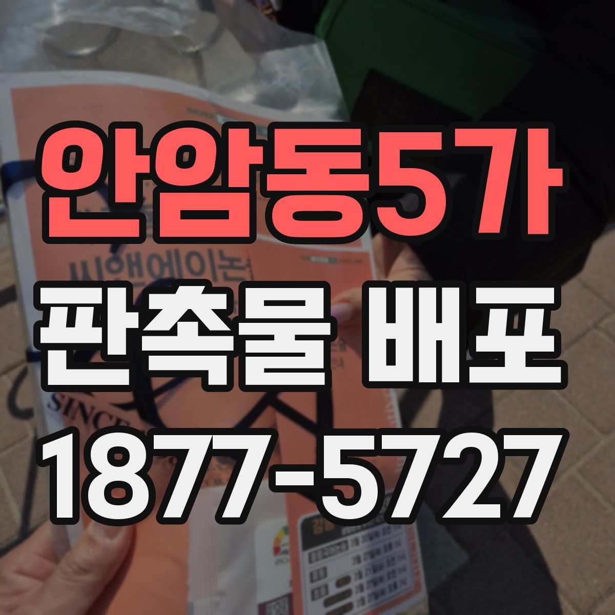 안암동5가 판촉물 배포