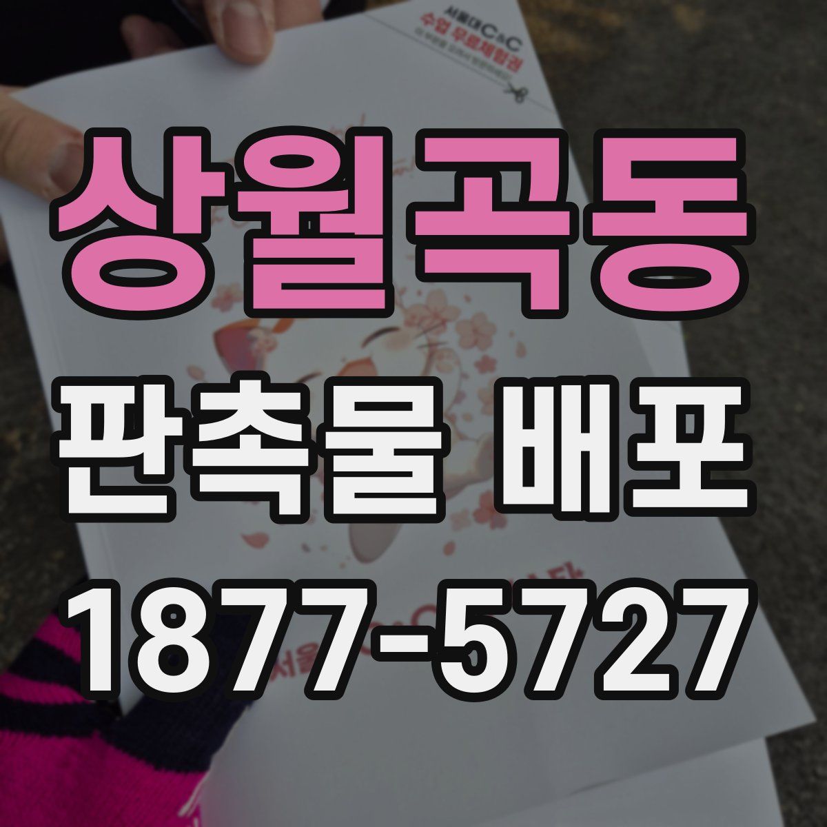 상월곡동 판촉물 배포