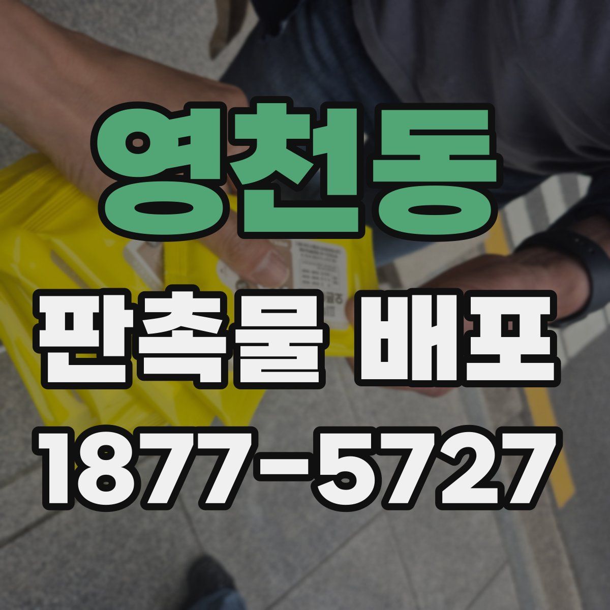영천동 판촉물 배포