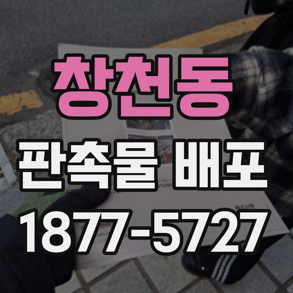 창천동 판촉물 배포