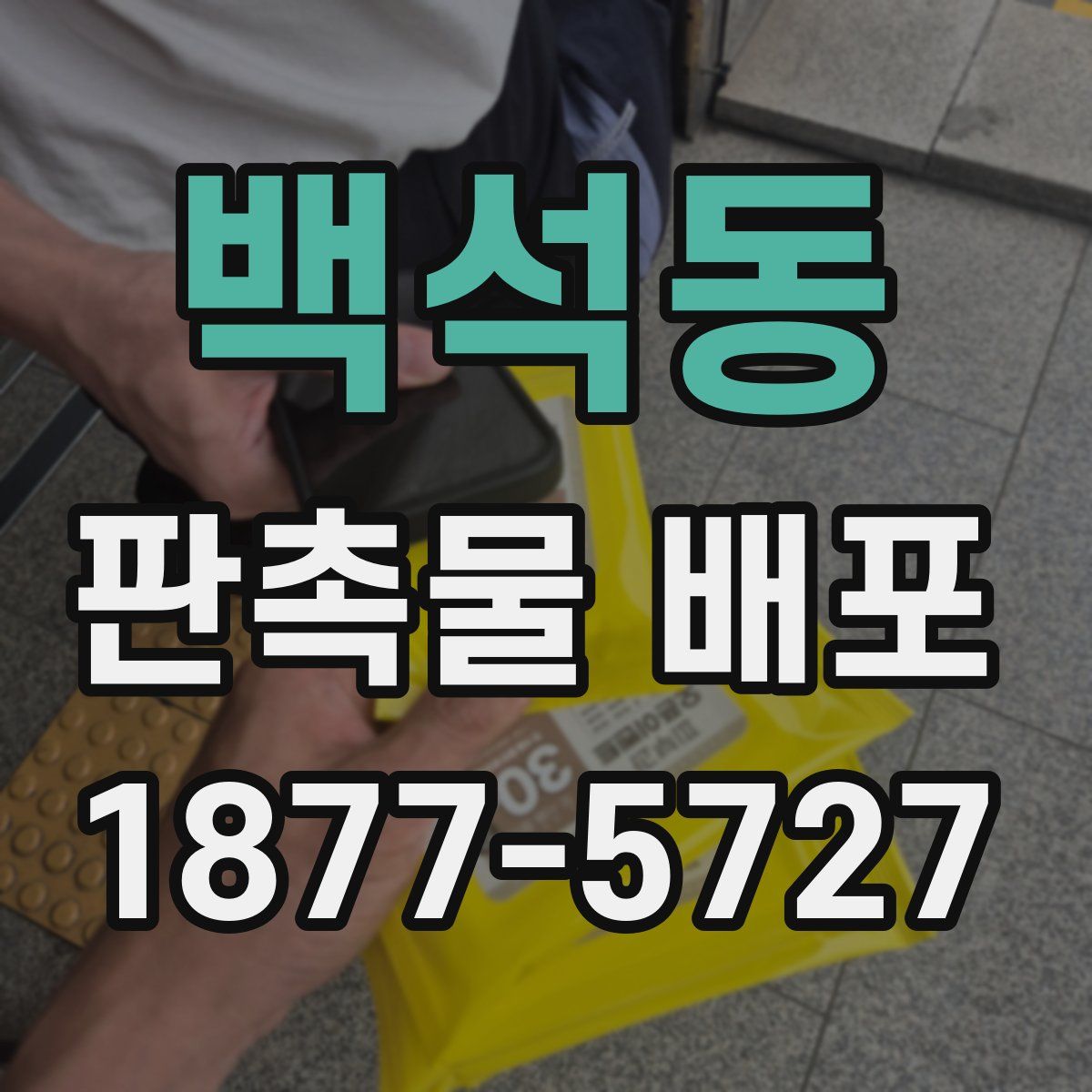 백석동 판촉물 배포