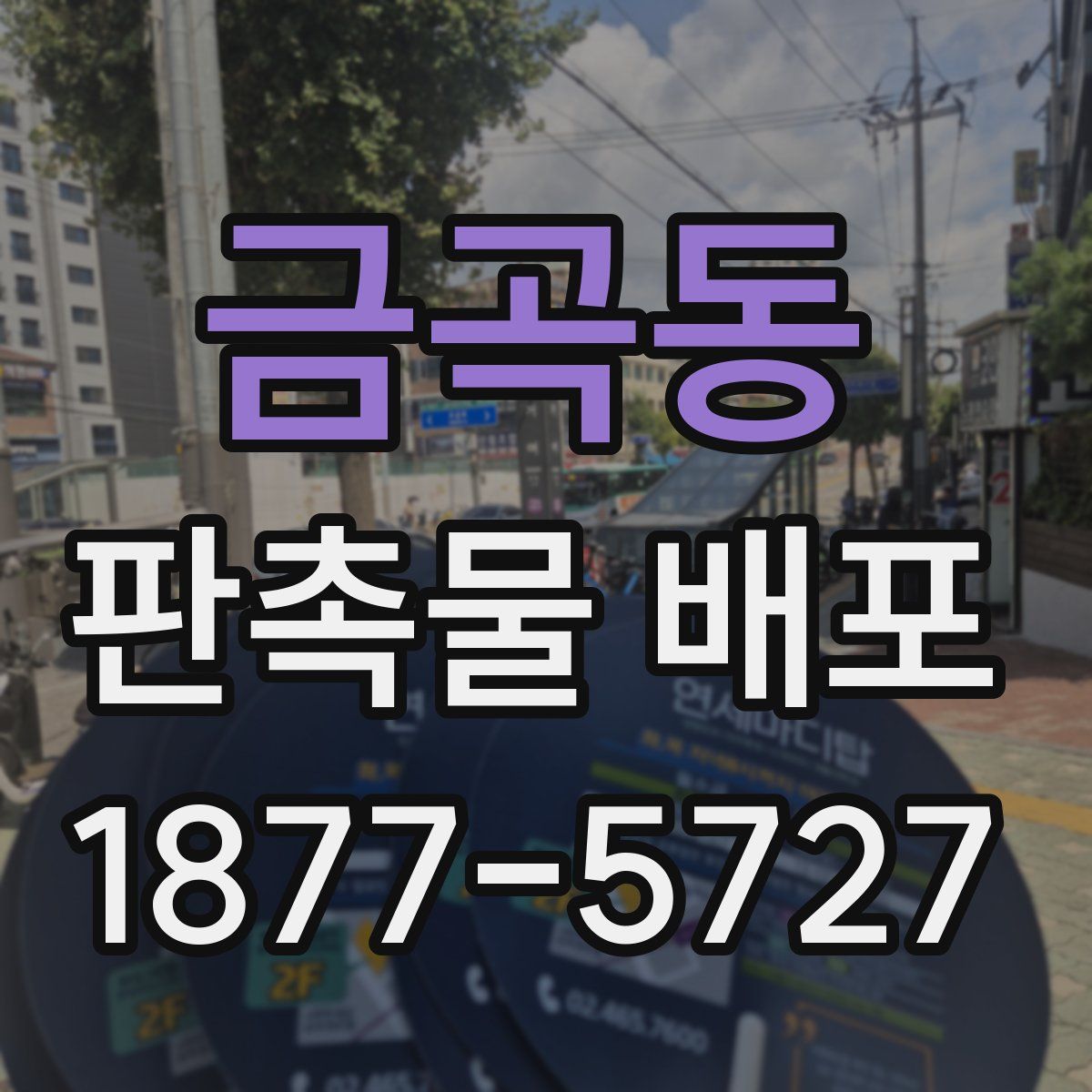 금곡동 판촉물 배포
