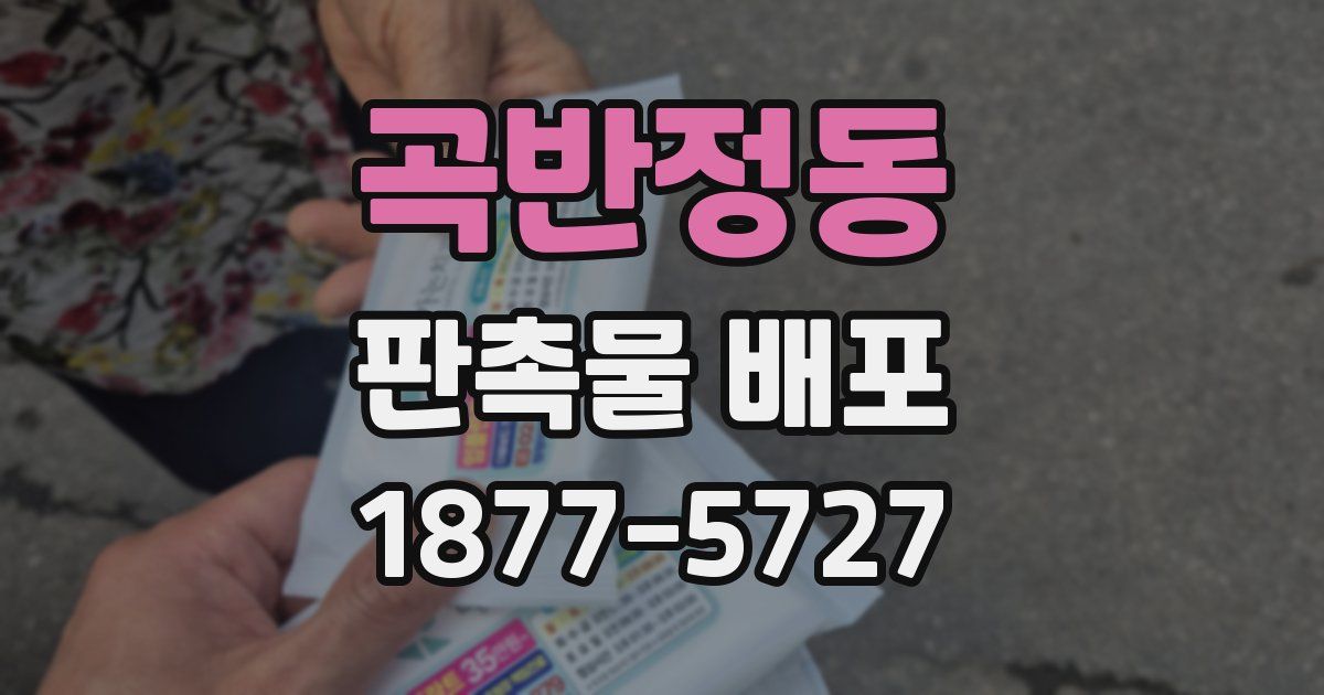 곡반정동 판촉물 배포