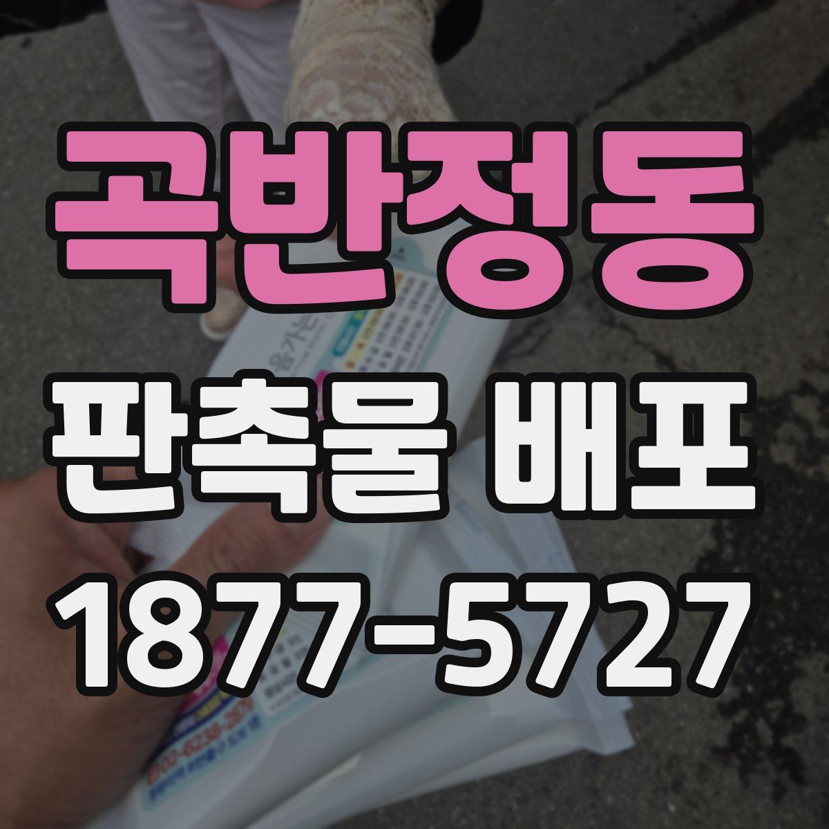 곡반정동 판촉물 배포