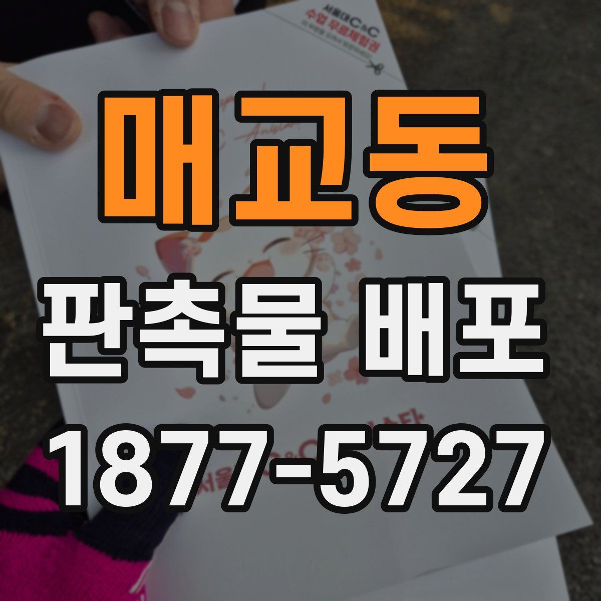 매교동 판촉물 배포