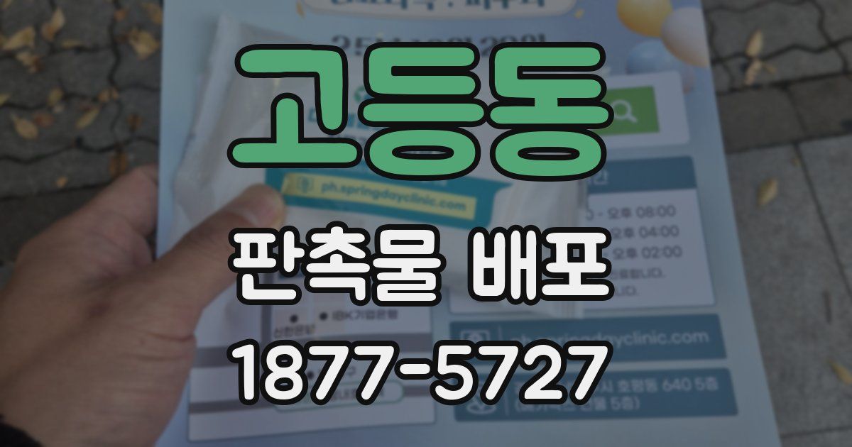 고등동 판촉물 배포