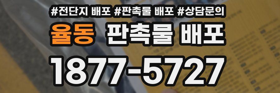 율동 판촉물 배포