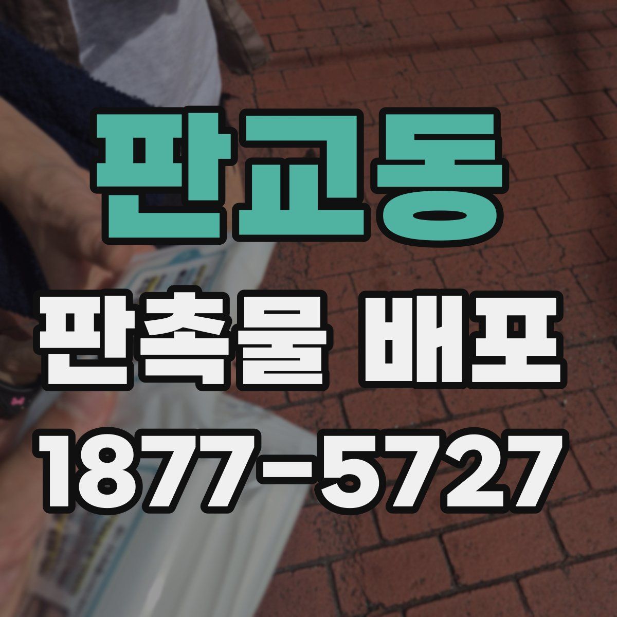 판교동 판촉물 배포