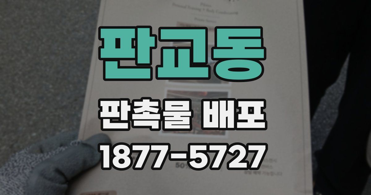 판교동 판촉물 배포