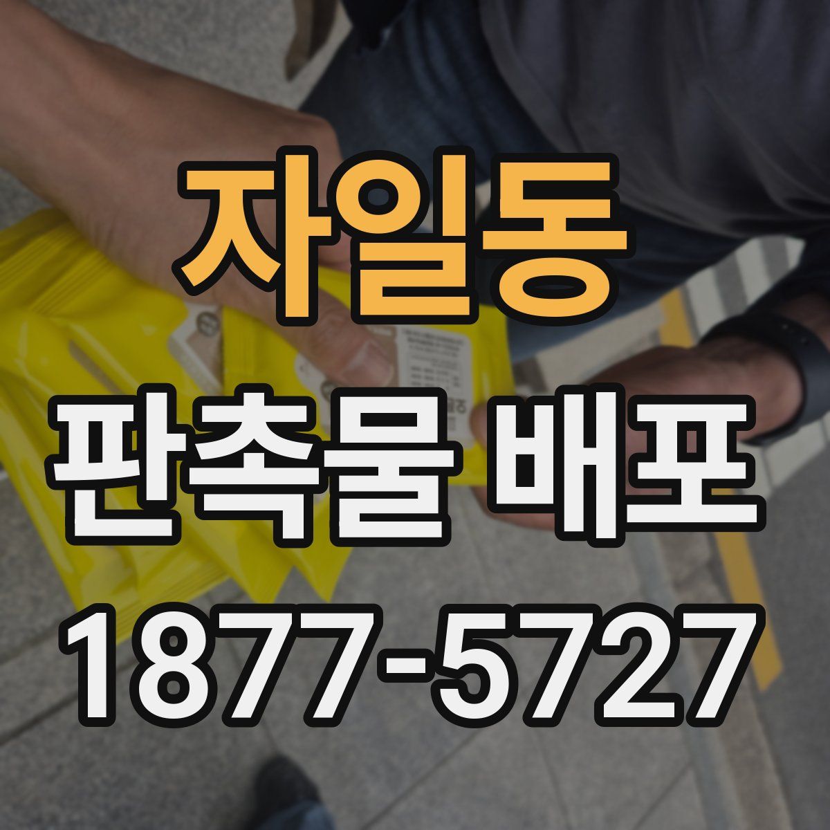 자일동 판촉물 배포