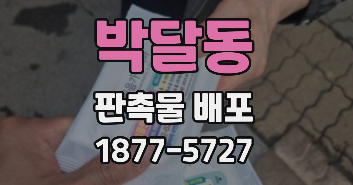 박달동 판촉물 배포