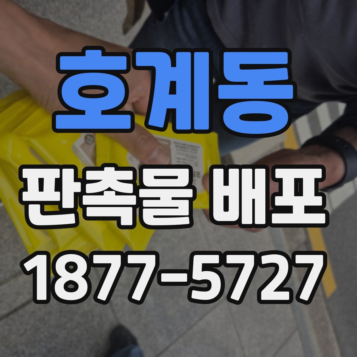 호계동 판촉물 배포