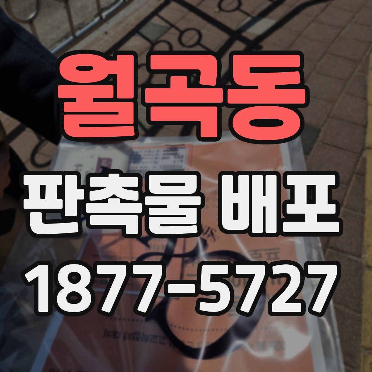 월곡동 판촉물 배포
