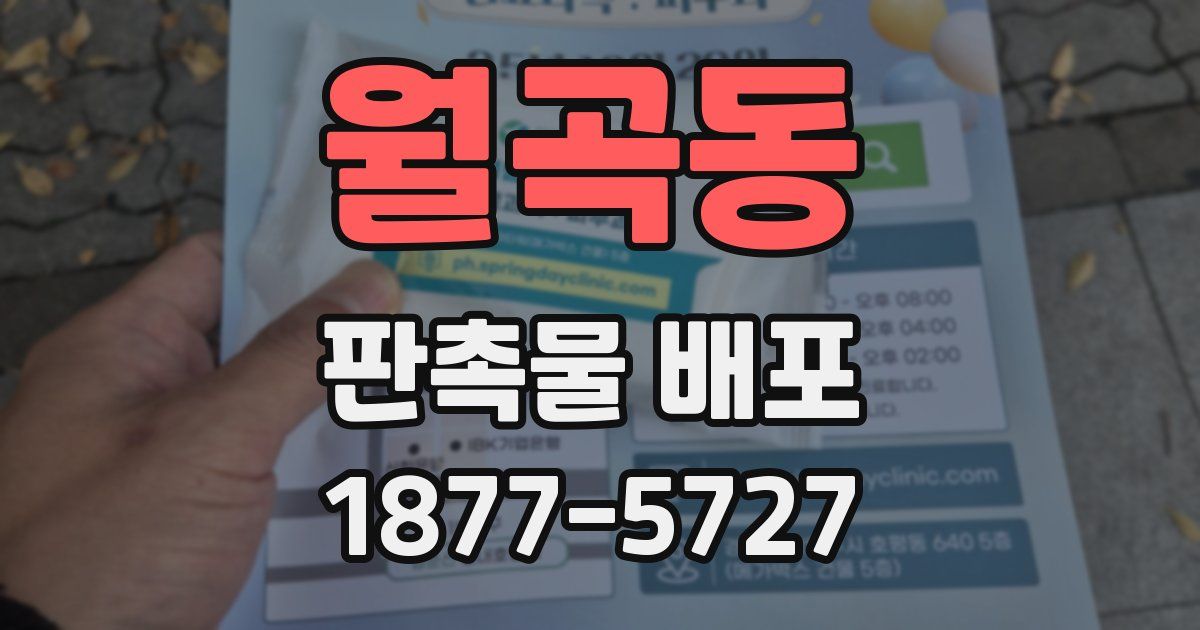 월곡동 판촉물 배포