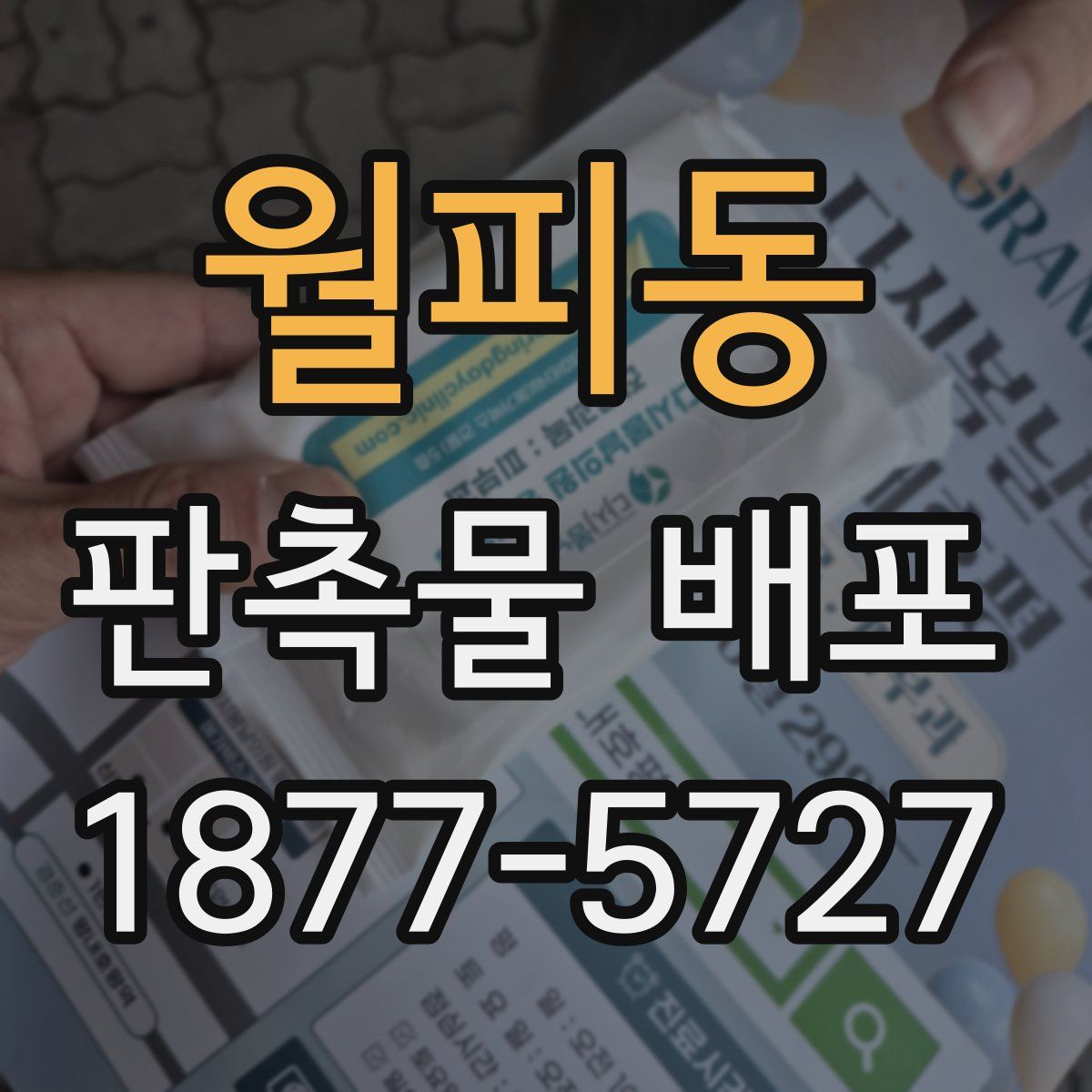 월피동 판촉물 배포