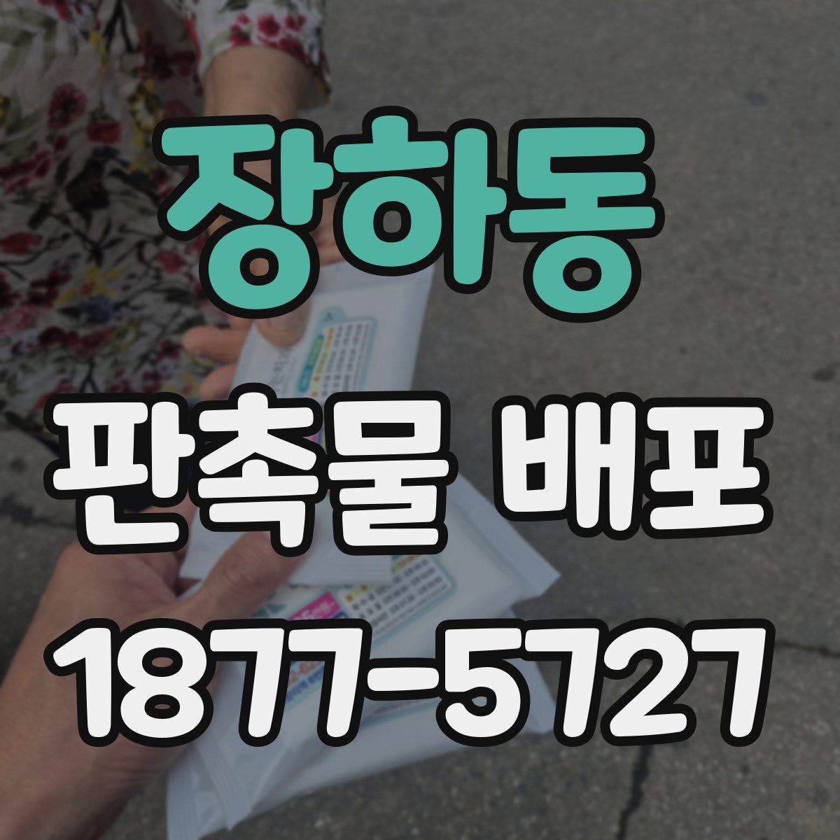 장하동 판촉물 배포