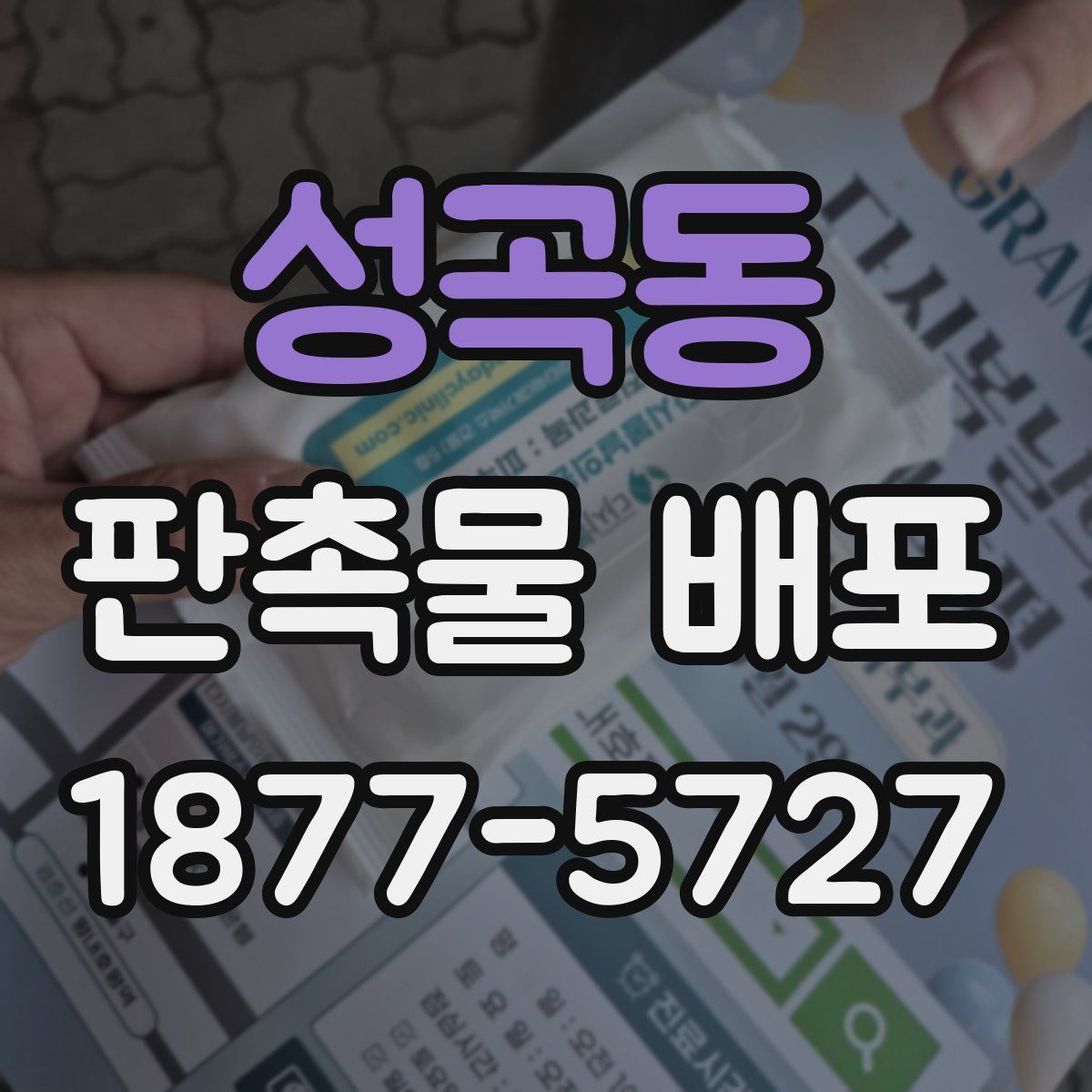 성곡동 판촉물 배포